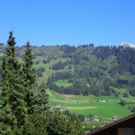 Apartmán Iris Zweisimmen